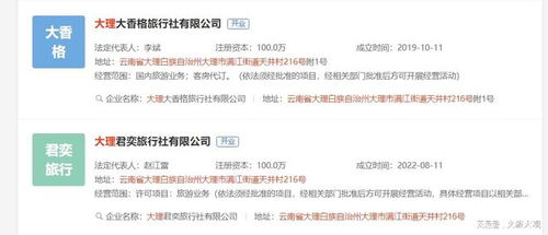 大理大香格旅行社業(yè)務(wù)經(jīng)營許可證被吊銷，國內(nèi)旅游業(yè)務(wù)受重創(chuàng)