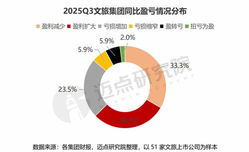 2025年第三季度文旅集團(tuán)國內(nèi)旅游業(yè)務(wù)財務(wù)分析報告