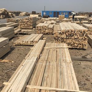 現代木材加工廠合理規劃圖 從原料到成品的全流程優化